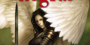 Libro Alas negras - Laura Gallego