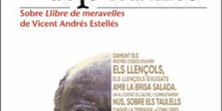 Libro Els versos dels calaixos - Ferran Carbó