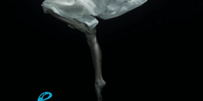 Libro Scacco Matto - Lisa Suñé