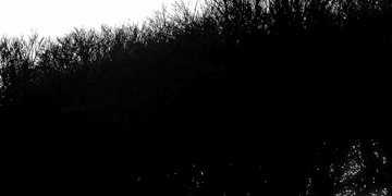 470×470 Libro Diez negritos - Agatha Christie