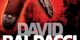 470×470 Libro Simple Genius - David Baldacci