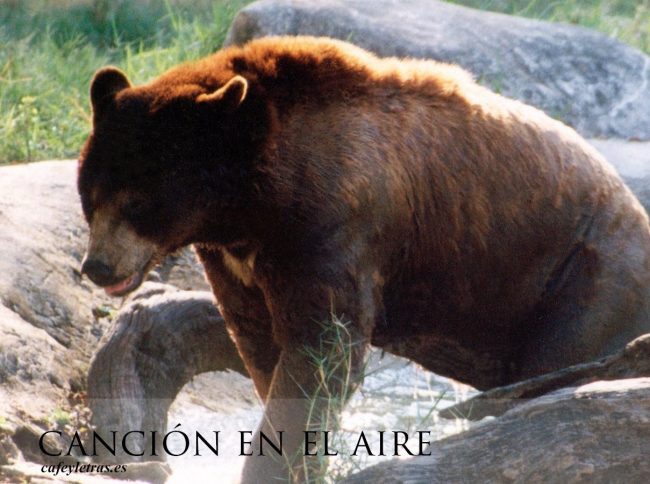 Canción en el aire