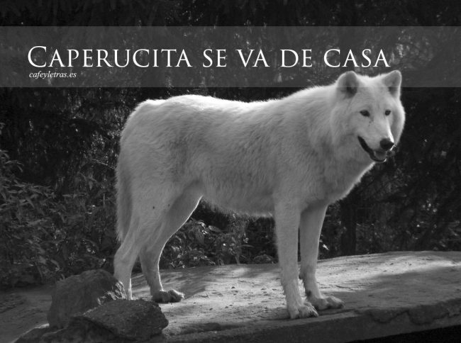 Caperucita y el lobo feroz