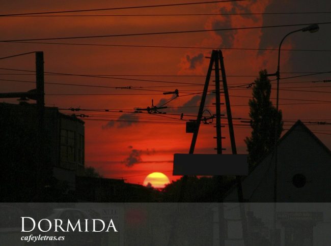 Dormida