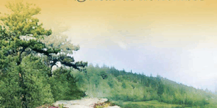 Libro Brisas de noviembre - Robyn Carr