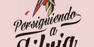 Libro Persiguiendo a Silvia - Elísabet Benavent
