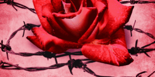 Libro Secuestrada - Anna Zaires