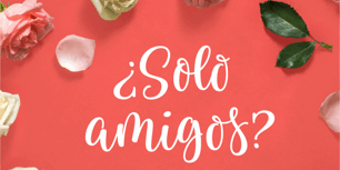 Libro ¿Sólo amigos? (Serie Amigos 1) - Ana Álvarez
