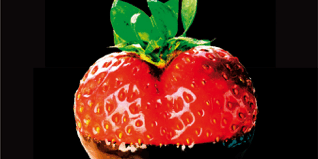 Libro Sorpréndeme - Megan Maxwell