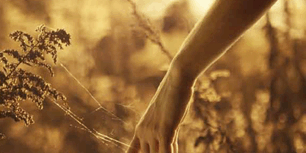 Libro El sacrificio del verdugo - Noelia Amarillo