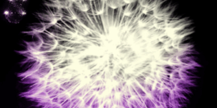 Libro Adivina quién soy esta noche - Megan Maxwell