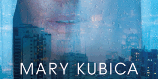 470×470 Libro Al caer la noche - Mary Kubica
