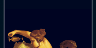 470×470 Libro La leona blanca - Henning Mankell