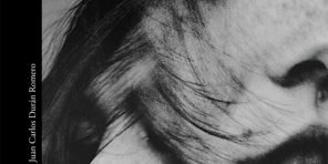 Libro Irène (Un caso del comandante Camille Verhoeven 1) - Pierre Lemaitre