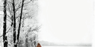 470×470 Libro Hermana - Rosamund Lupton