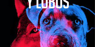 470×470 Libro Perros y lobos - Hervé Le Corre