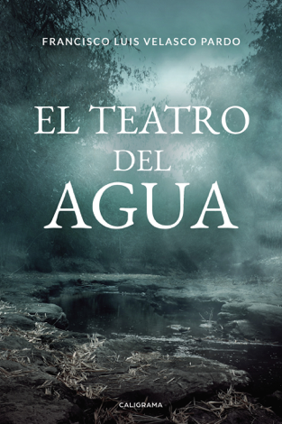 Libro El teatro del agua - Francisco Luis Velasco Pardo