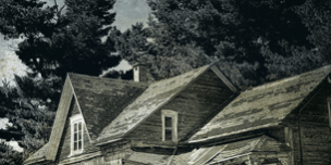 470×470 Libro El que susurra - Malenka Ramos