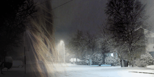 Libro La extranjera - Astrid Nilsen