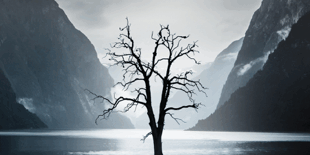 470×470 Libro En el fiordo profundo - Ruth Lillegraven