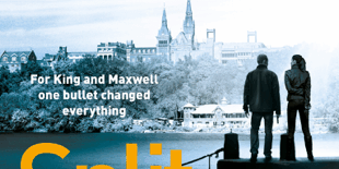 470×470 Libro Split Second - David Baldacci