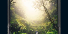 470×470 Libro Naturaleza salvaje - Jane Harper