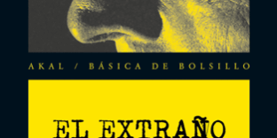 470×470 Libro El extraño asesinato - Chester Himes