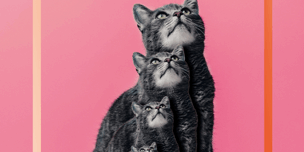 470×470 Libro Litio - Malén Denís