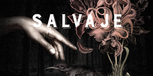 Libro Más alla de lo salvaje - Julia Fine