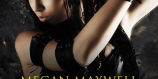 Libro Ella es tu destino - Megan Maxwell