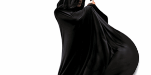 Libro El gremio de los magos (Crónicas del Mago Negro 1) - Trudi Canavan