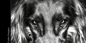 470×470 Libro El caso Paternostro - Carlo F. De Filippis