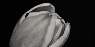 470×470 Libro A crueldade de abril - Diego Ameixeiras