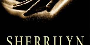 Libro Disfruta de la noche - Sherrilyn Kenyon