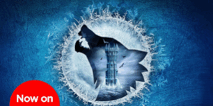 Libro The Tower of the Swallow - Andrzej Sapkowski & David French