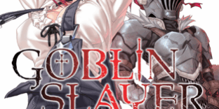Libro Goblin Slayer