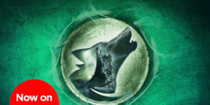 Libro The Lady of the Lake - Andrzej Sapkowski & David French