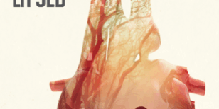 470×470 Libro La sed (Harry Hole 11) - Jo Nesbø