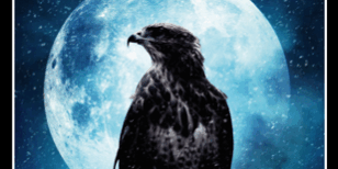 470×470 Libro El frío de la muerte - John Connolly