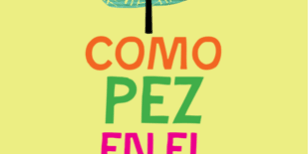 Libro Como pez en el árbol - Lynda Mullaly Hunt