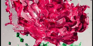 470×470 Libro El arte de la felicidad - Dalai Lama