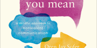 Libro Say What You Mean - Oren Jay Sofer