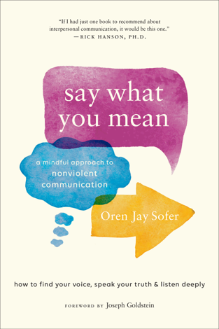 Libro Say What You Mean - Oren Jay Sofer
