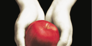 Libro Crepúsculo (Saga Crepúsculo 1) - Stephenie Meyer