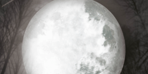 Libro Luna (En la oscuridad 1) - Ana Coello