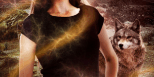 Libro A La Sombra Del Tiempo