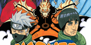 Libro Naruto