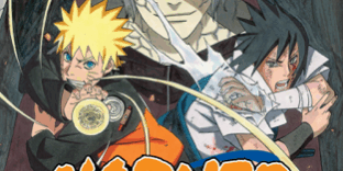 Libro Naruto