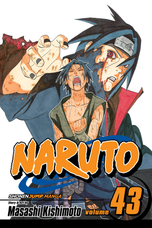 Libro Naruto