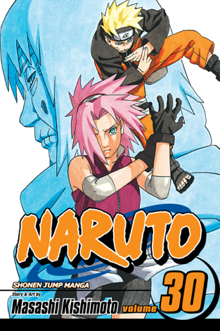 Libro Naruto